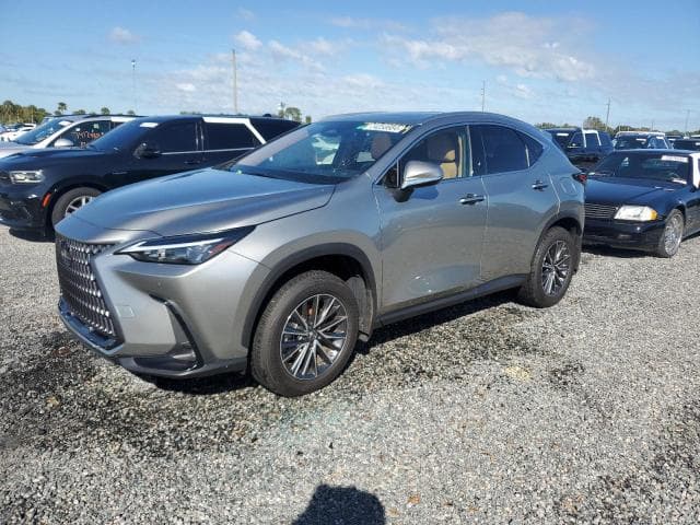 2022 Lexus nx 250 Salvage Car