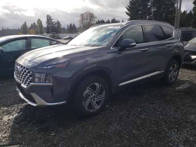 2023 Hyundai santa fe Background