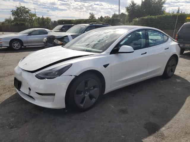 2021 Tesla model 3 Background