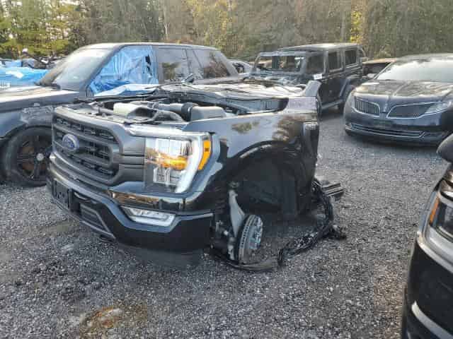 2023 Ford f-150 Background