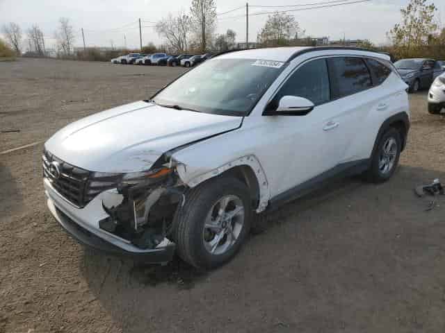 2022 Hyundai tucson Background