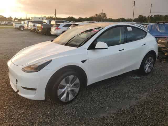2024 Tesla model y Background