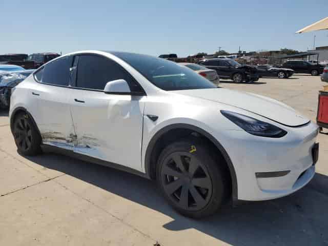2023 Tesla MODEL Y Background