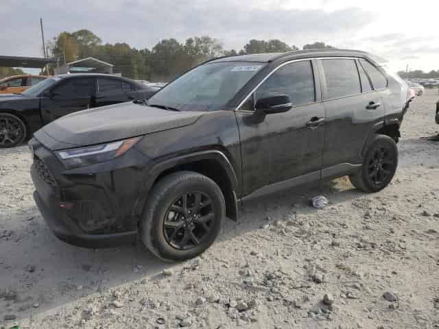 2024 Toyota rav4 Background