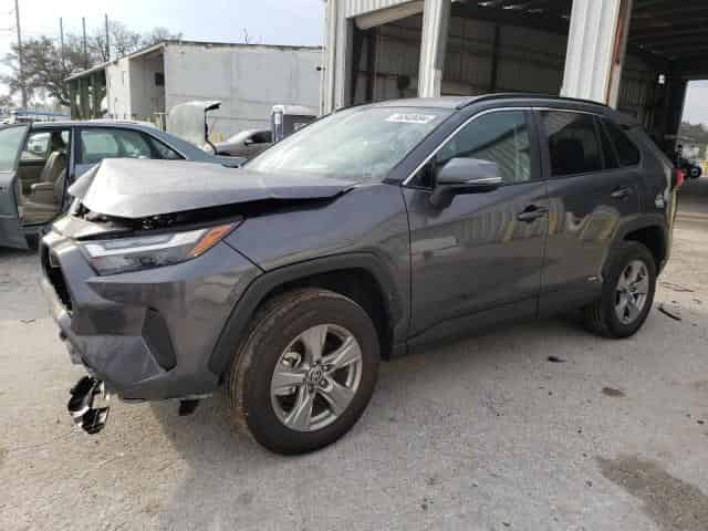 2024 Toyota rav4 Background