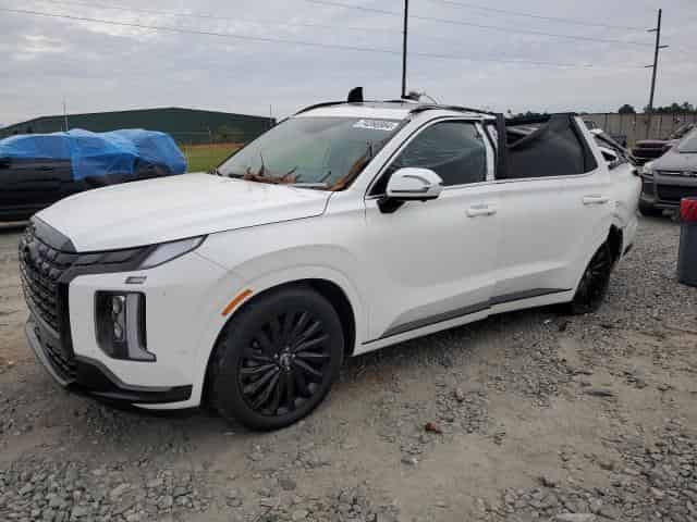 2024 Hyundai palisade Background