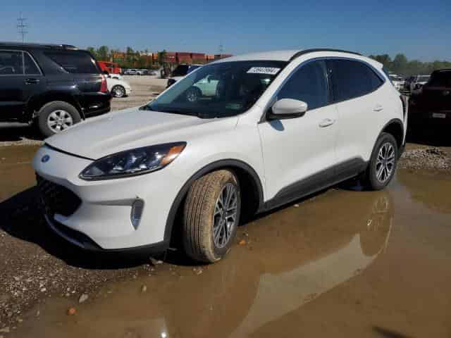 2020 Ford escape Background