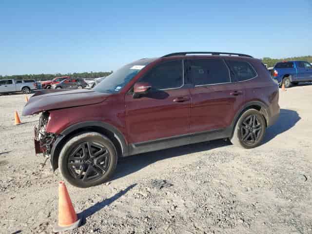 2024 KIA Telluride, SX Background