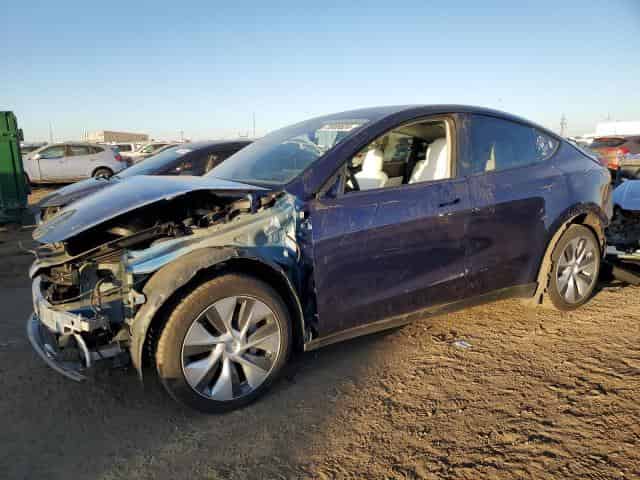 2021 Tesla model y Background