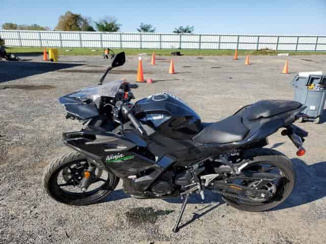 2024 Kawasaki EX500, H Background