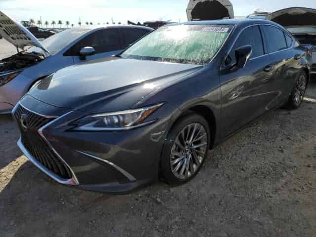 2024 Lexus es350 Background