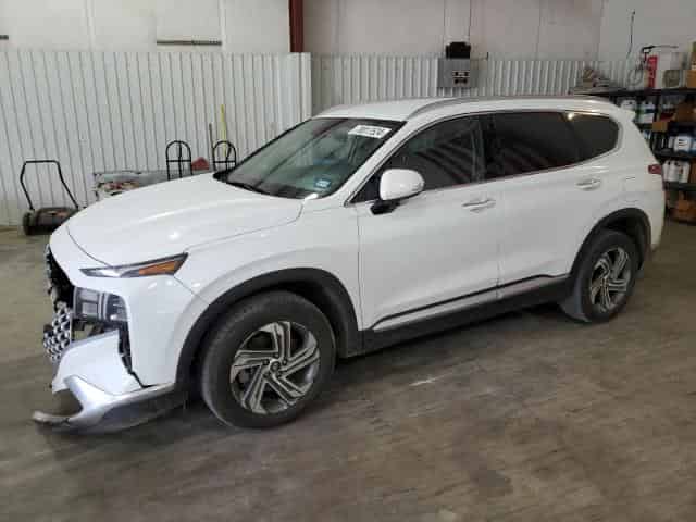 2021 Hyundai santa fe Background