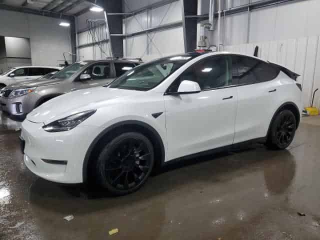2020 Tesla model y Background