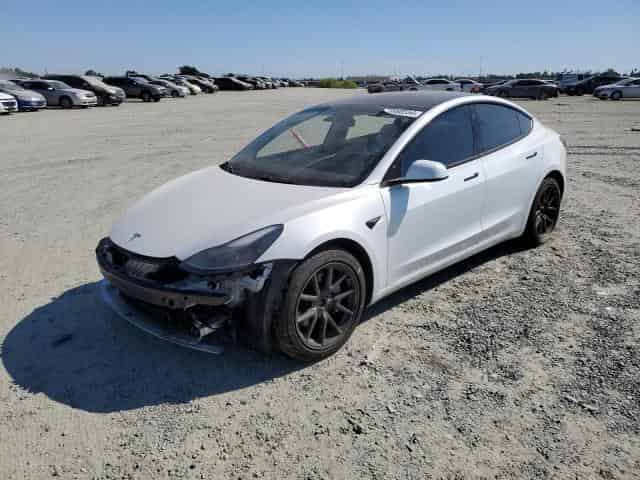 2021 Tesla MODEL 3 Background