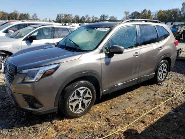 2024 Subaru forester Background