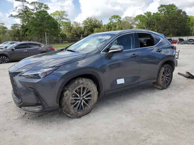 2025 Lexus NX, 250 Premium Background