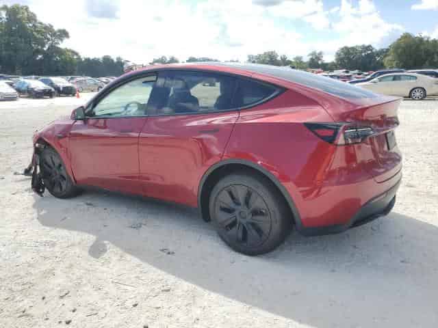 2024 Tesla MODEL Y Background