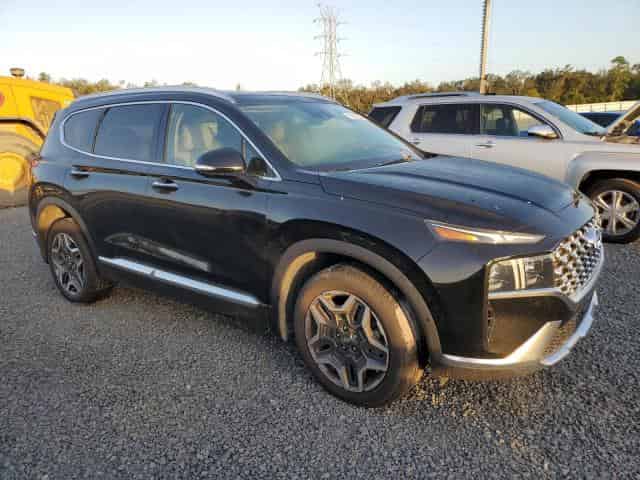 2023 Hyundai Santa Fe, Limited Background