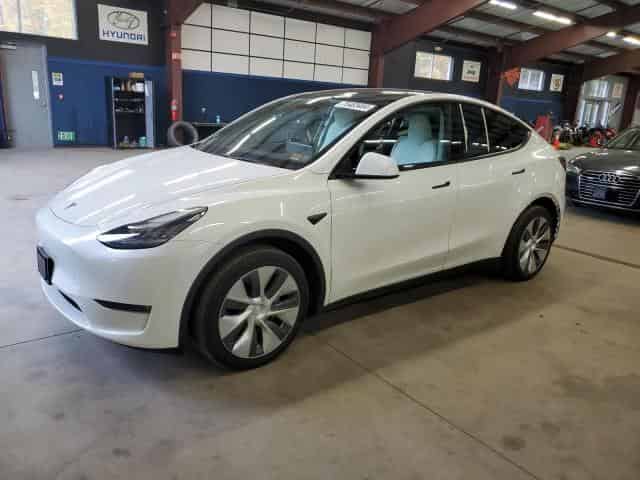 2020 Tesla model y Background