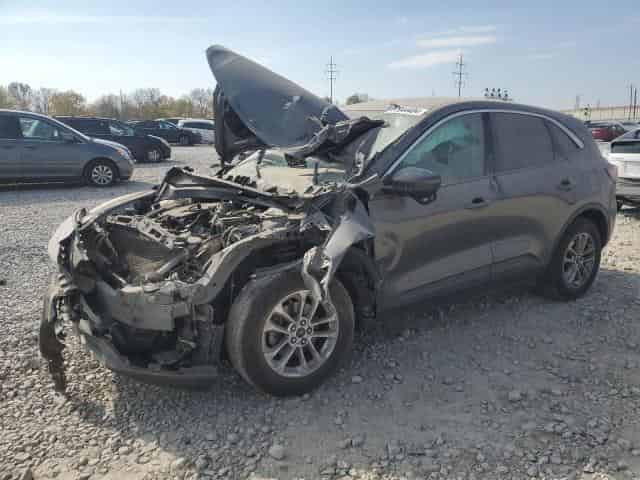 2020 Ford escape Background