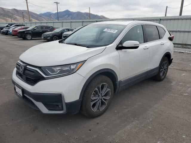 2022 Honda crv Background