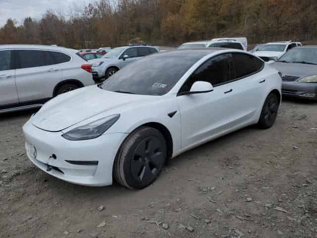 2022 Tesla model 3 Background