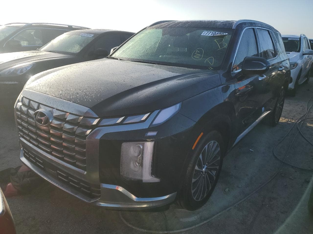 2025 Hyundai Palisade, Calligraphy salvage