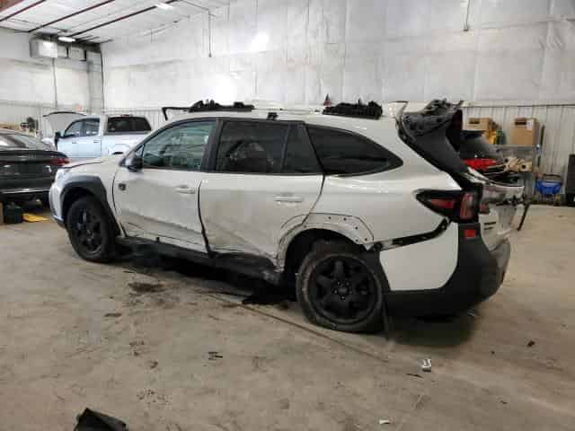 2023 Subaru Outback, Wilderness Background