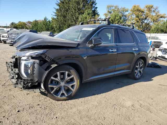 2022 Hyundai palisade Background