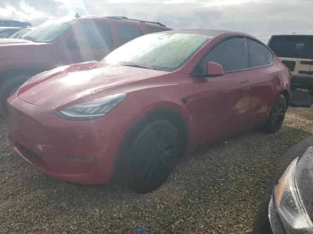 2021 Tesla model y Background