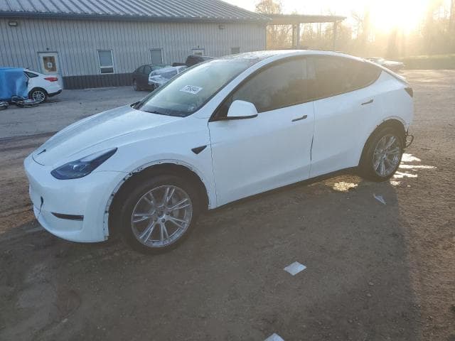 2024 Tesla MODEL Y salvage