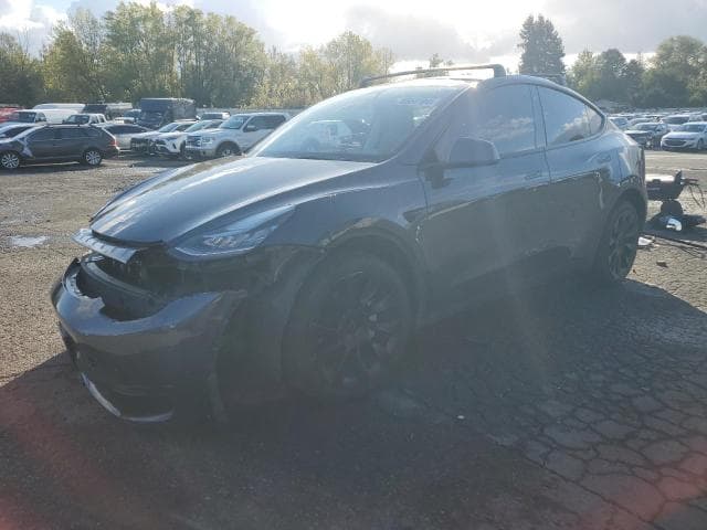 2023 Tesla model y Salvage Car