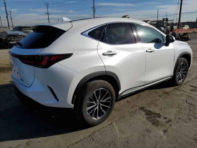 2024 Lexus NX, 250 Premium Background