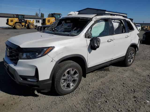 2023 Honda passport Background