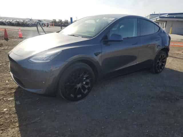 2022 Tesla model y Background
