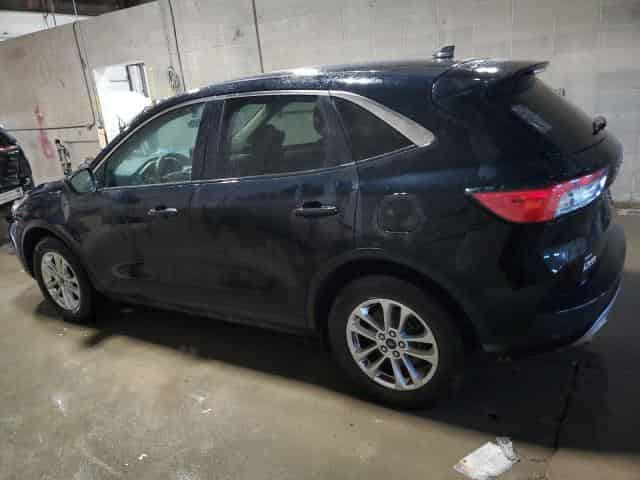 2020 Ford Escape, SE Background