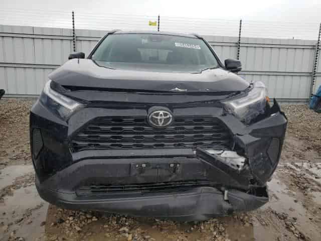 2024 Toyota RAV4, Xle Background