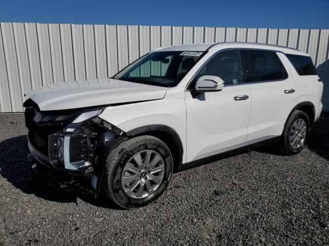 2024 Hyundai palisade Background