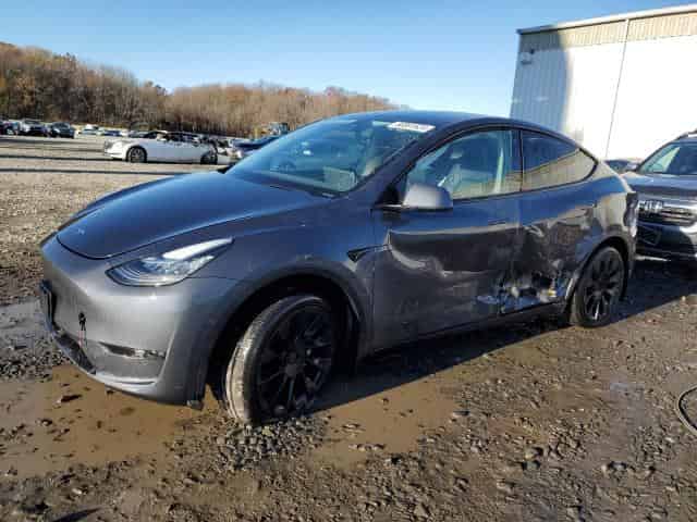 2023 Tesla model y Background