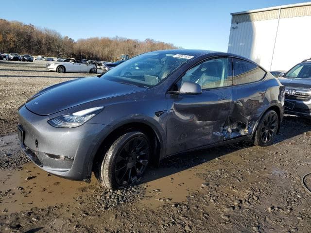 2023 Tesla model y Salvage Car