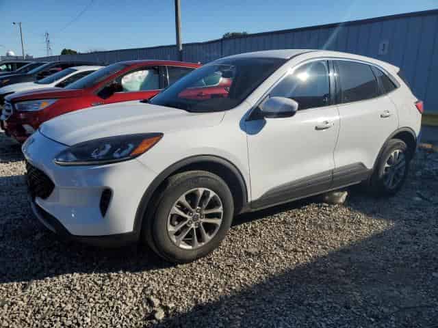 2020 Ford escape Background