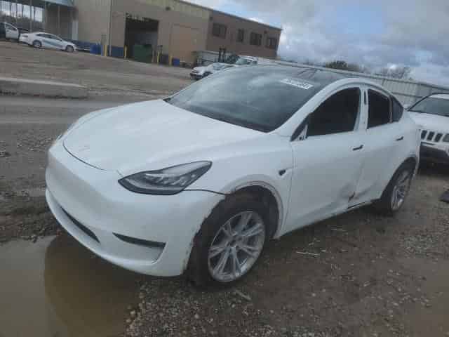 2021 Tesla model y Background
