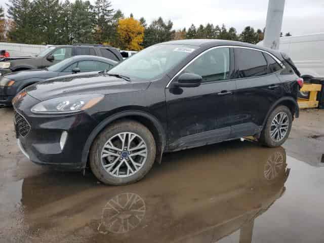 2022 Ford escape Background
