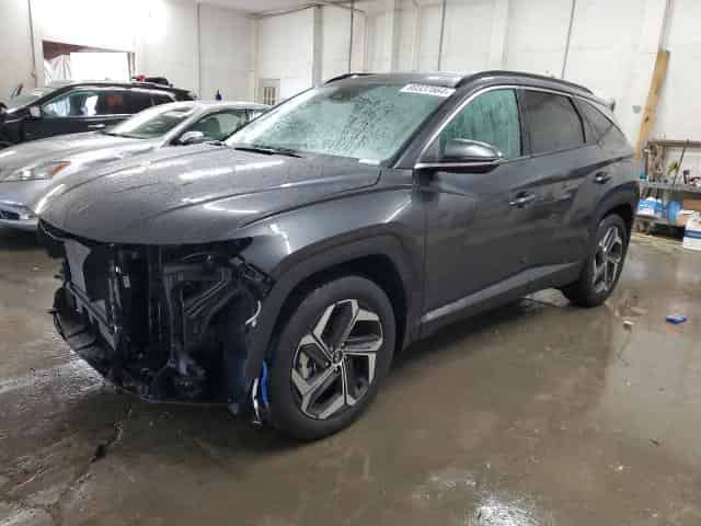 2024 Hyundai tucson Background