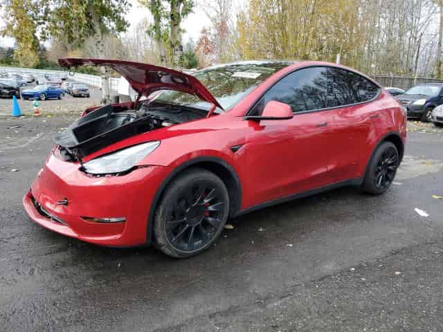 2020 Tesla model y Background
