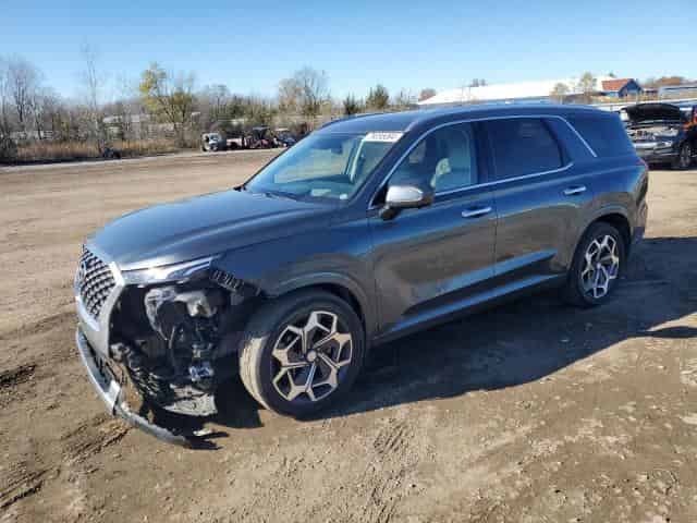 2021 Hyundai palisade Background