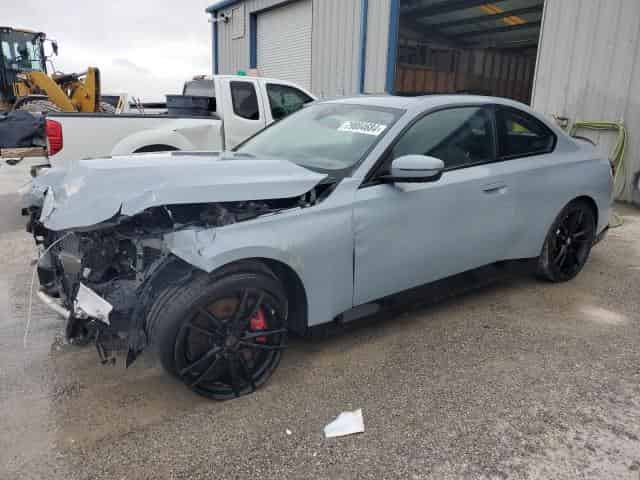 2024 BMW 2 Series, 230XI Background
