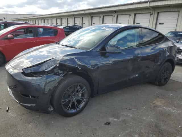 2024 Tesla model y Background
