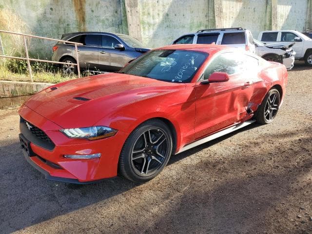 2023 Ford all models Salvage Car